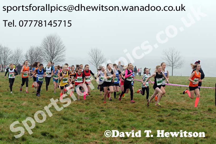 Under-13  girls NEHL, Aykley Heads, Durham. Photo: David T. Hewitson/Sports for All Pics